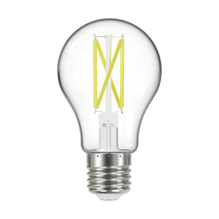 Medium Base A19 LED Filament Bulb