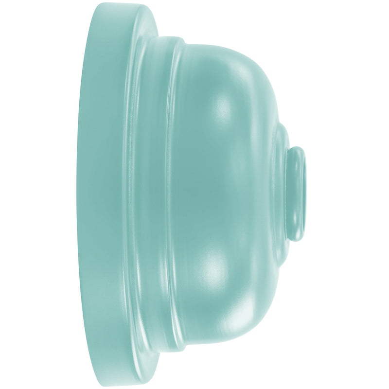 Sea green wall light side view backplate, gooseneck arm, dome shade