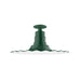 Radial 16" Flush Mount Light in Forest Green | Montclair Light Works