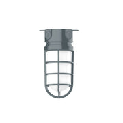Slate gray flush mount light with clear glass grid and round bottom guard