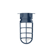 Navy flush mount ceiling light with frosted glass panels and metal cage