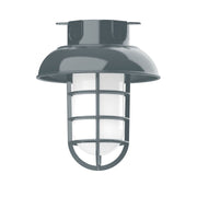 Slate gray 8 in flush mount light with curved glass cage