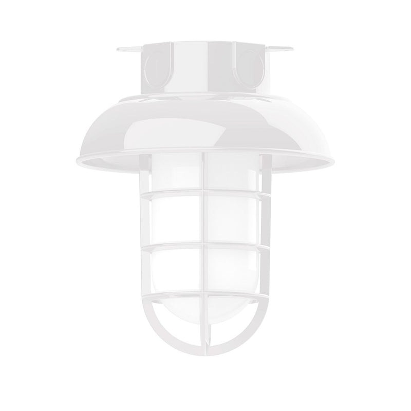 Vaportite 8 in white flush mount light with frosted dome and wire guard