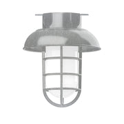Painted galvanized flush mount outdoor light with domed shade, cage guard, clear lens