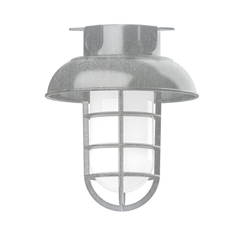Painted galvanized flush mount outdoor light with domed shade, cage guard, clear lens