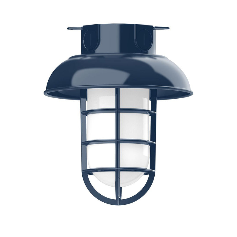 Navy flush mount outdoor light with frosted glass diffuser and metal guard