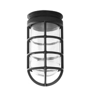 Black lantern-style pendant with clear glass panels and curved metal guard