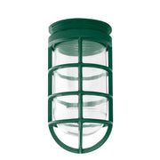 Forest green lantern-style cafe pendant light with clear glass globe and metal cage