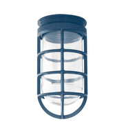 Navy stem pendant light with clear glass globe and metal cage