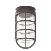 Bronze lantern-style pendant with clear glass cylinder and grid frame