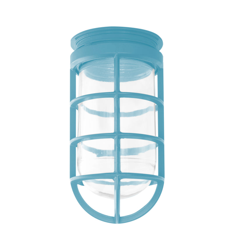Light blue lantern-style pendant light with clear glass globe and grid frame