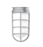 Two-light pendant with frosted glass lantern and painted metal cage frame