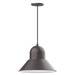 Prima 16" LED Pendant in Bronze Matte | Montclair Light Works
