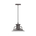 Homestead 12" LED Pendant in Bronze Matte | Montclair Light Works
