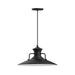 Homestead 18" pendant in Black | Montclair Light Works