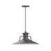Homestead 18" pendant in Bronze Matte | Montclair Light Works