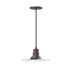 Radial 12" pendant in Bronze Matte | Montclair Light Works