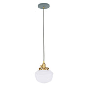 Slate gray ceiling canopy with brushed brass socket and frosted glass dome pendant