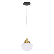 Black ceiling pendant with brushed brass fittings and white glass dome shade
