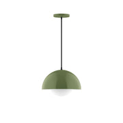 Fern green glass globe pendant with metal canopy and hanging cord.