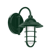 Forest green wall lantern light with clear glass globe and domed shade.