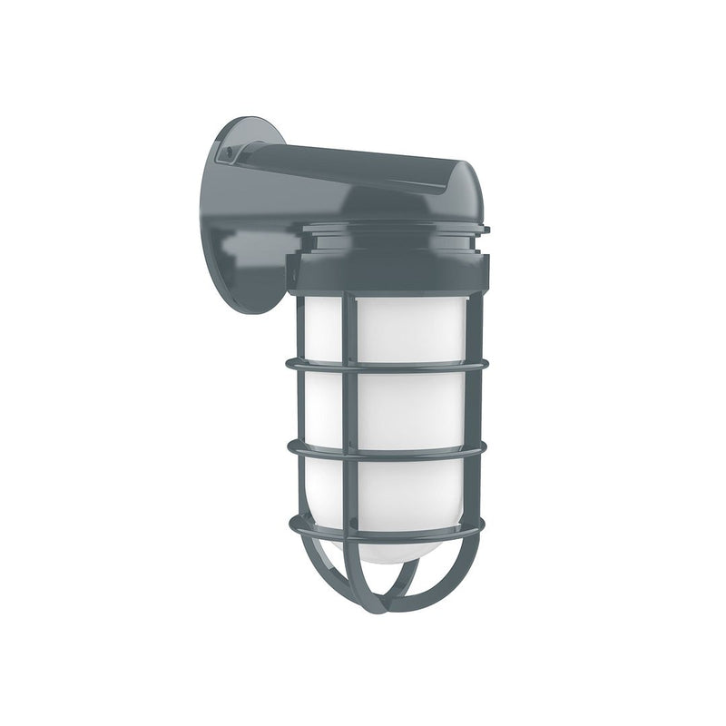 Slate gray wall light with clear glass shade and metal cage guard