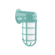 Sea green wall light with clear glass shade and curved guard, metal cage design