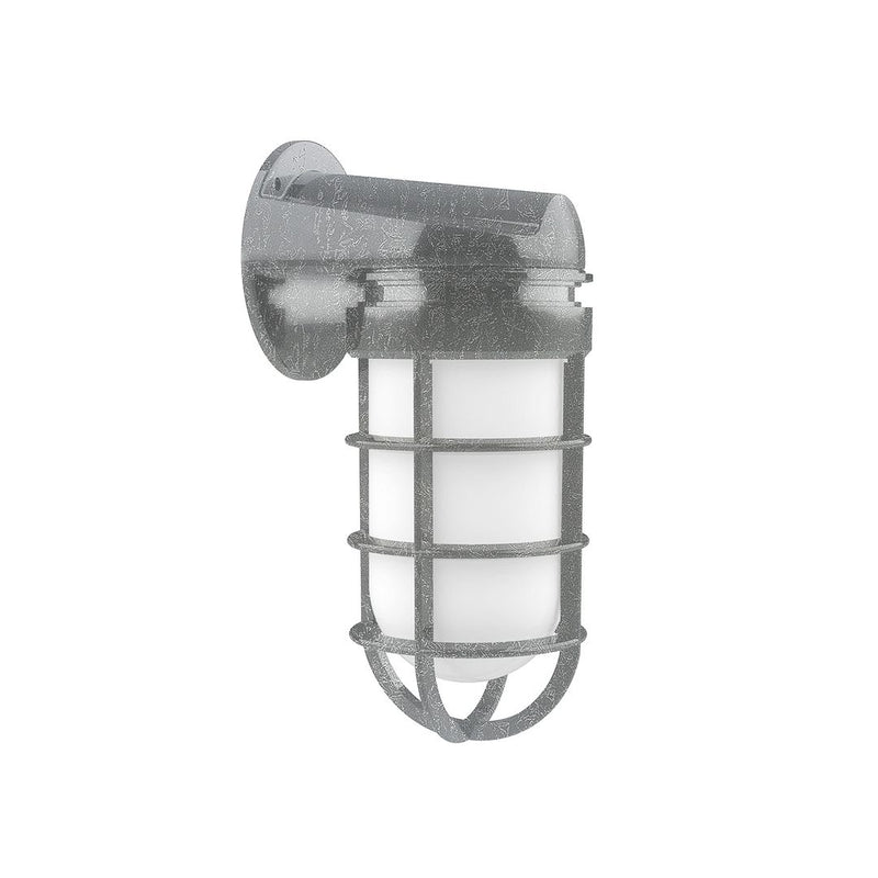 Painted galvanized wall light with frosted glass and metal cage guard, sconce style