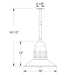 Atomic 16" pendant, stem mount in Barn Red Line Drawing