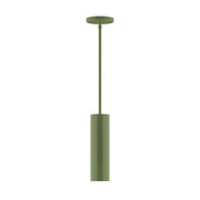 Fern green stem hung pendant with round canopy and long hanging rod