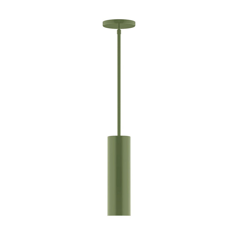 Fern green stem hung pendant with round canopy and long hanging rod