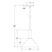 Pendant light dimension diagram: 12 in shade height, 60 in overall height